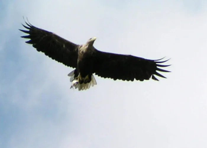 Moderner Im Mit Seezugang Prázdninový dům *
