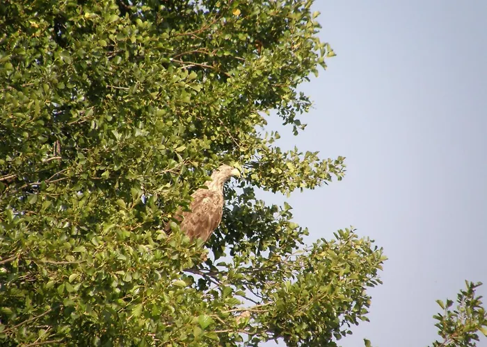 Moderner Im Mit Seezugang Holiday home *