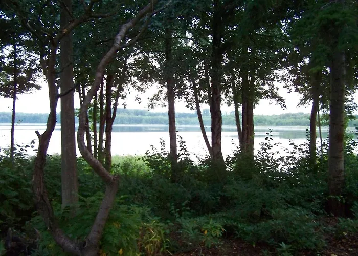 Moderner Im Mit Seezugang Holiday home Dabel